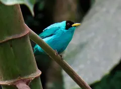 Photo00010