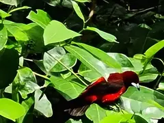 Photo00015