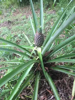 Photo00042