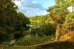 Photo00054