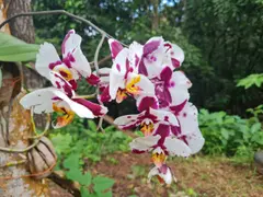Photo00089