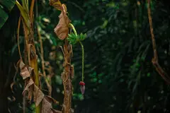 Photo00109
