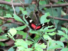 Photo00121