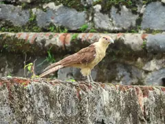 Photo00143